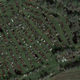 Illustration for article titled Hidden 1,000-vehicle junkyard heading for the crusher?